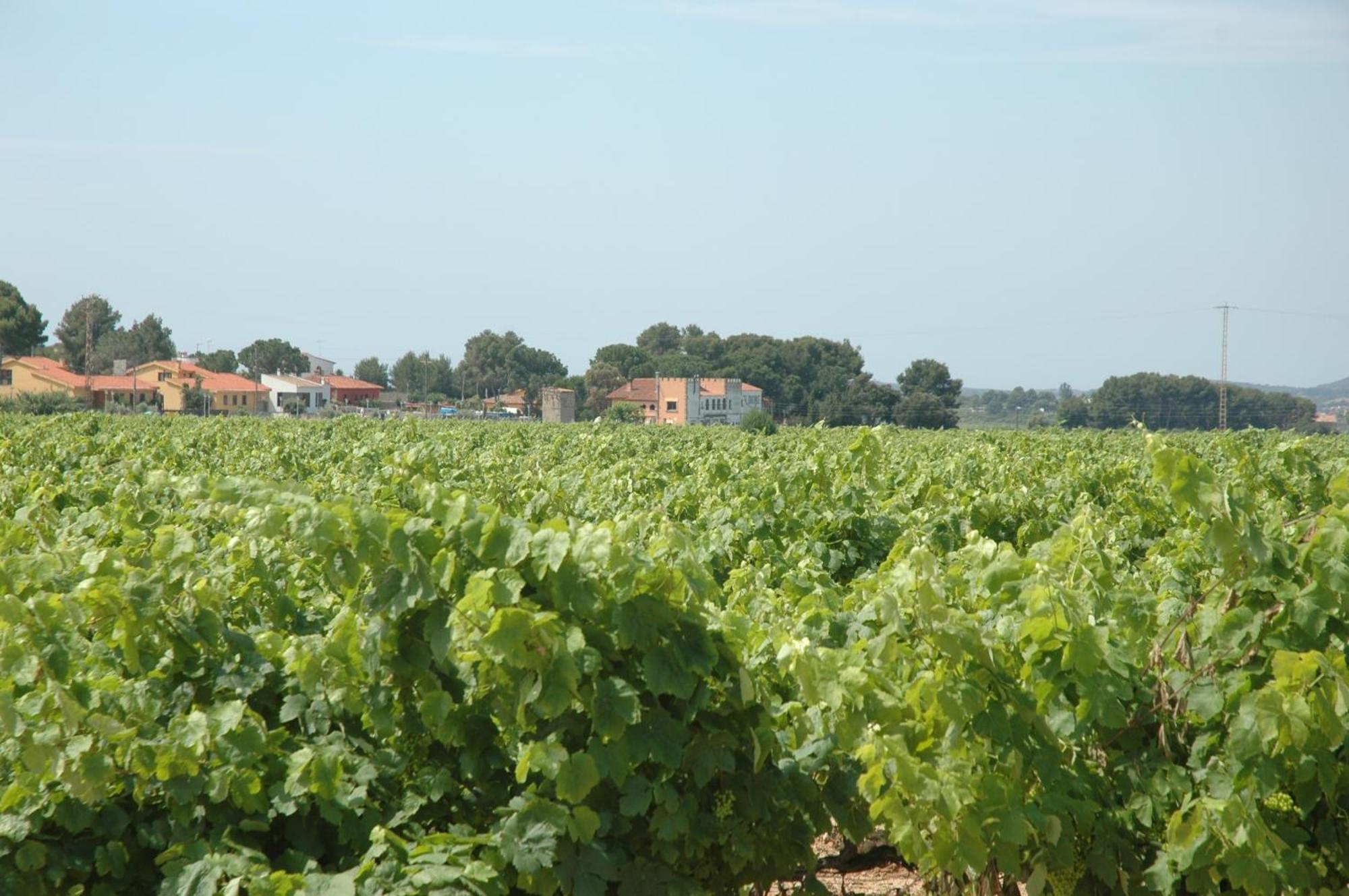 Hotel Restaurant El Bosc Banyeres del Penedes Kültér fotó